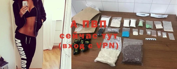 a pvp Богданович