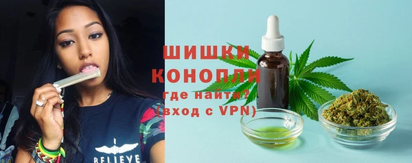 a pvp Богданович