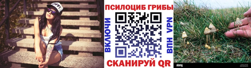 Псилоцибиновые грибы мицелий  Видное 